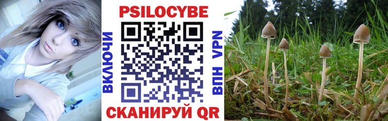 Псилоцибиновые грибы Cubensis  Бахчисарай 
