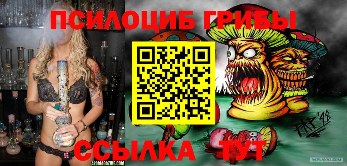 Псилоцибиновые грибы Magic Shrooms  Галлюциногенные грибы GOLDEN TEACHER  Бахчисарай 