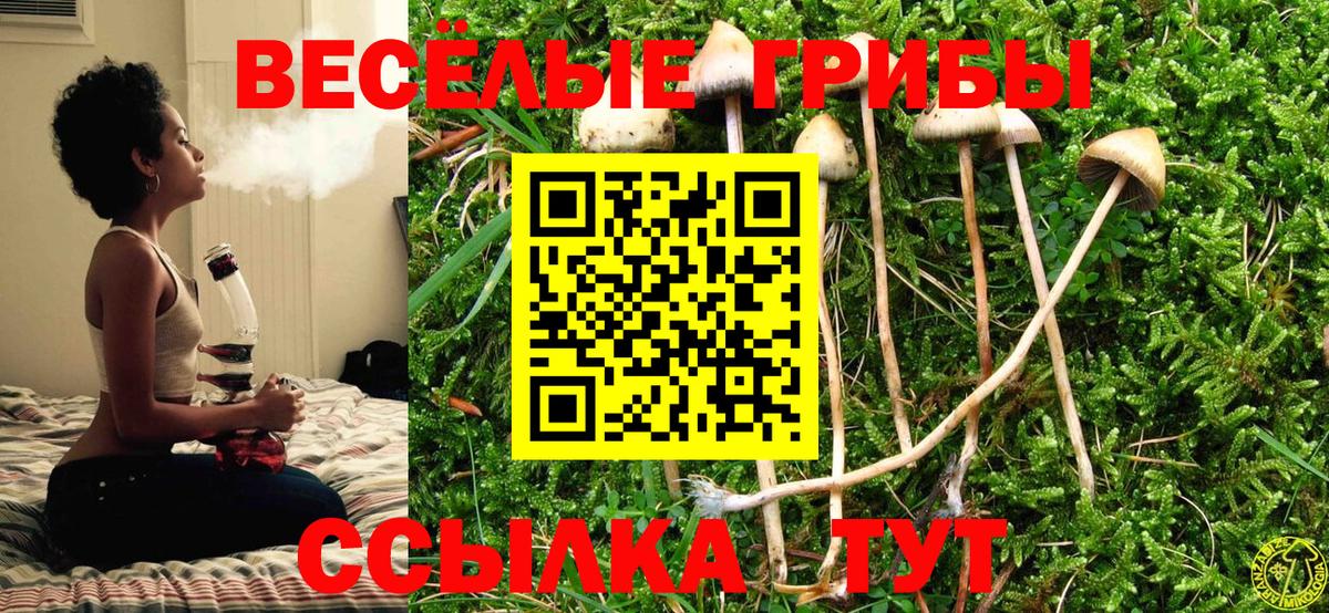 Бахчисарай  Псилоцибиновые грибы прущие грибы  Вход с VPN 