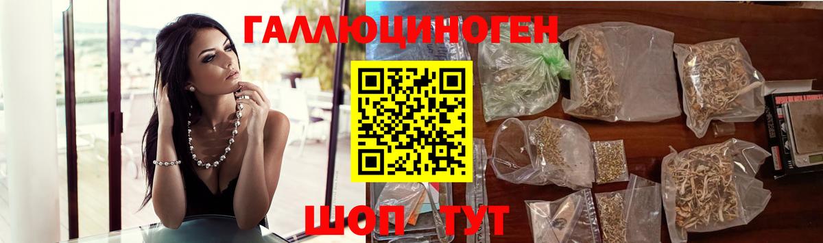 Псилоцибиновые грибы GOLDEN TEACHER Бахчисарай